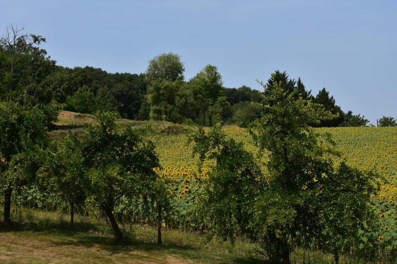مبيت وإفطار Dolmayrac Domaine De Calbiac المظهر الخارجي الصورة