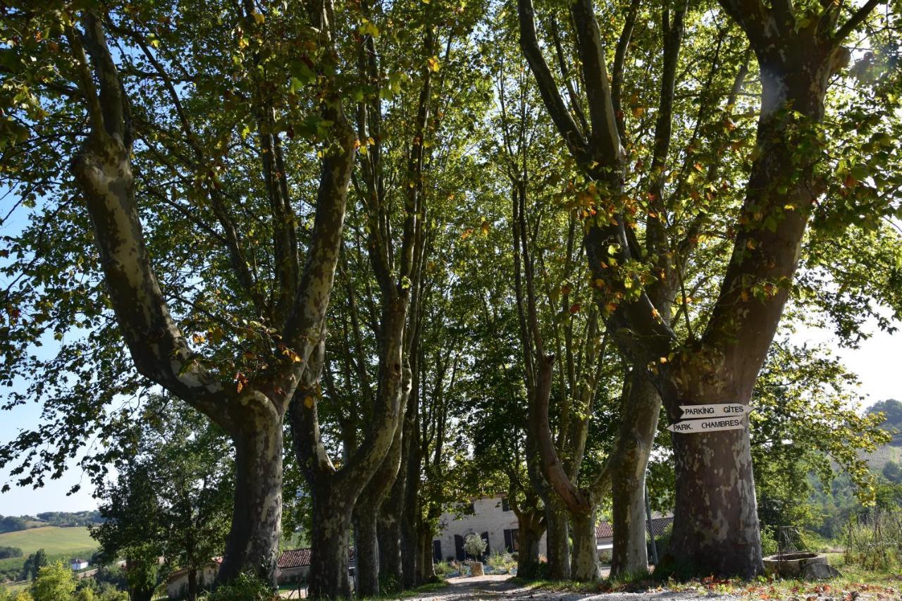 مبيت وإفطار Dolmayrac Domaine De Calbiac المظهر الخارجي الصورة